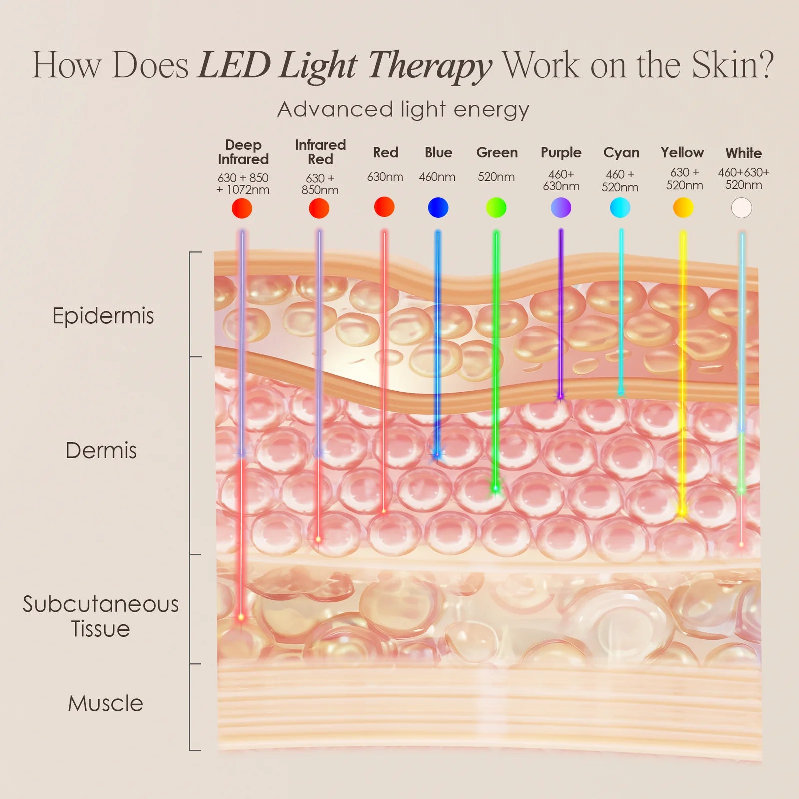 Pro LED Red Light Therapy Face & Neck Mask