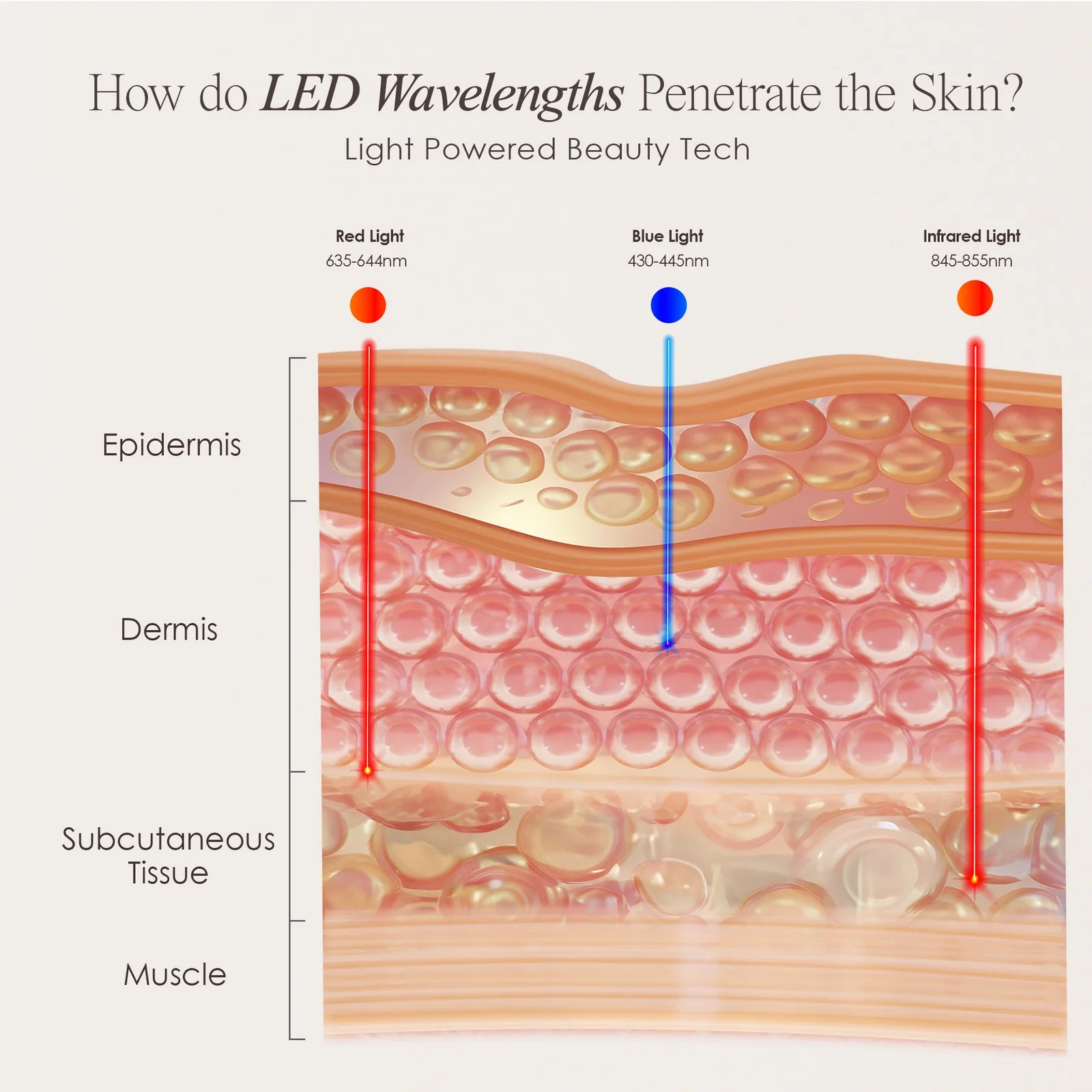 LED Red Light Therapy Face Mask